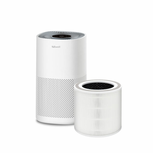 Bwellแผ่นฟอกอากาศ Bwell รุ่น AP-H2219S